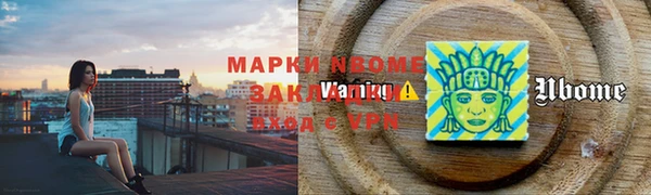 крисы Богородицк