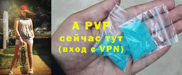 крисы Богородицк