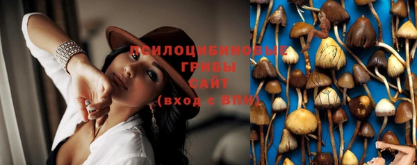 эйфоретик Богданович