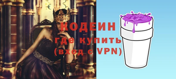крисы Богородицк