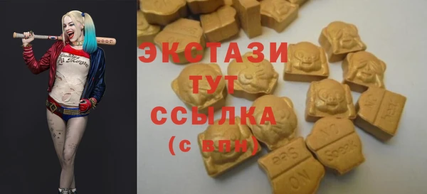 крисы Богородицк