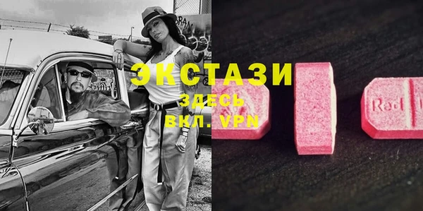 крисы Богородицк