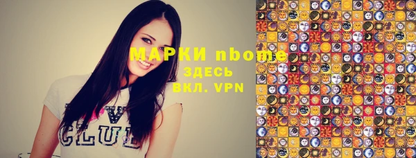 крисы Богородицк