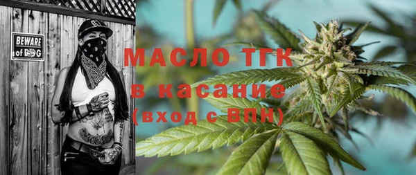 эйфоретик Богданович