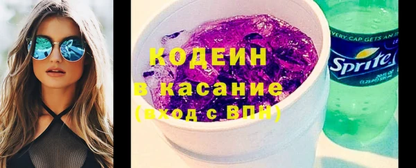 крисы Богородицк
