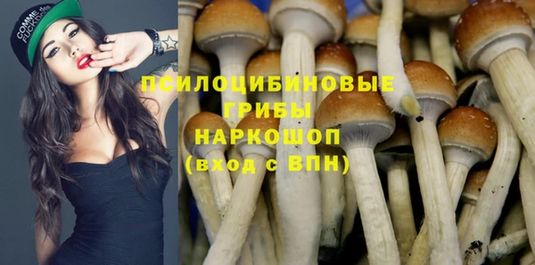 крисы Богородицк