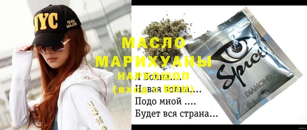 крисы Богородицк